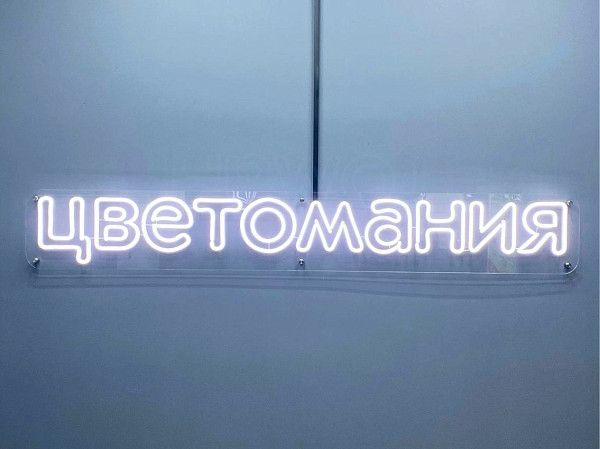 неон