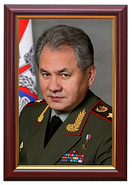 Портрет министра обороны Шойгу С.К.