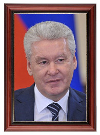 Портрет мэра Москвы Собянина С.С.. Натуральное дерево.