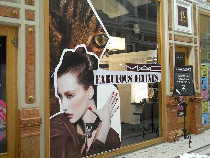 Аппликация витрины бутика